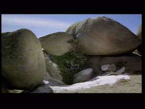 doc0278.gif
